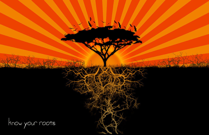acacia-tree